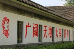 刘强东做农村电商:是生意,还是情怀